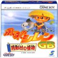 /GB 風来のシレンGB ( 箱付・説付 )