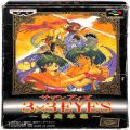 任天堂 スーパーファミコン/ゲームソフト/SFC サザンアイズ 3×3 EYES 獣魔奉還 傷有 ( 箱付・説付 )