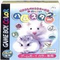 任天堂 ゲームボーイ/カラーGBゲームソフト/GBC かわいいハムスター2 なかよしペットシリーズ5 ( 箱付・節付