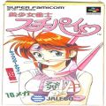 任天堂 スーパーファミコン/ゲームソフト/SFC 美少女雀士スーチーパイ ( 箱付・説付 )