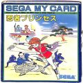 セガ SG-1000・SC-3000/ゲームソフト/SG-1000 忍者プリンセス NINJA PRINCESSI 傷有 ( 箱付・説付 青マイカード )