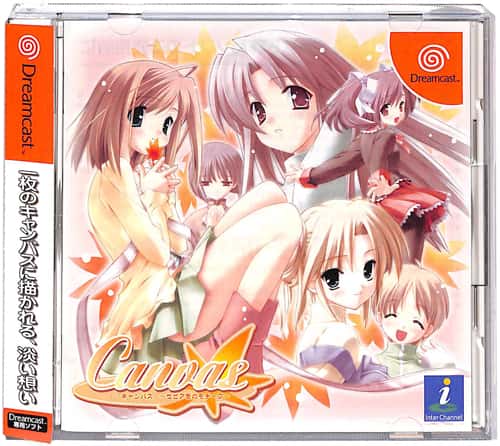 DC LoX Canvas ZsAF̃`[t ( tEtEѕt ) []